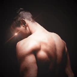 Bitcoin Apex Art logo